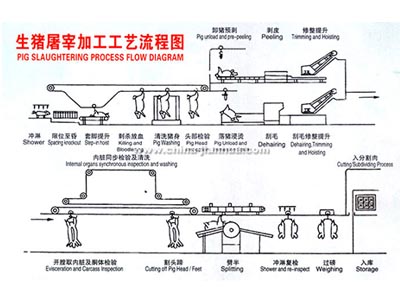 生猪屠宰工艺示意图