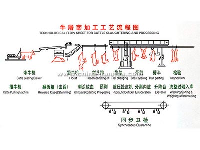 牛羊屠宰工艺示意图